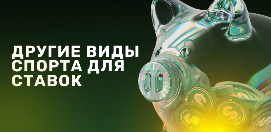 Другие виды спорта