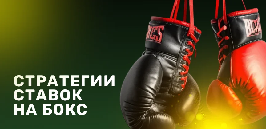Как делать ставки на бокс